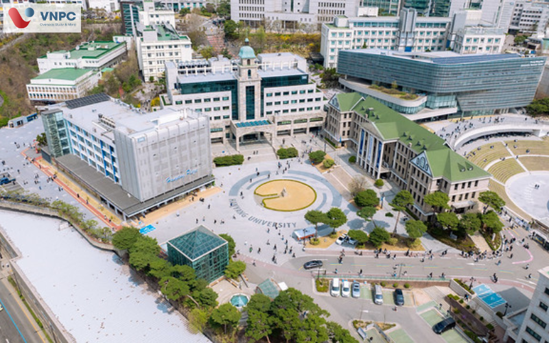 Du học Hàn Quốc ngành Quản trị Kinh doanh